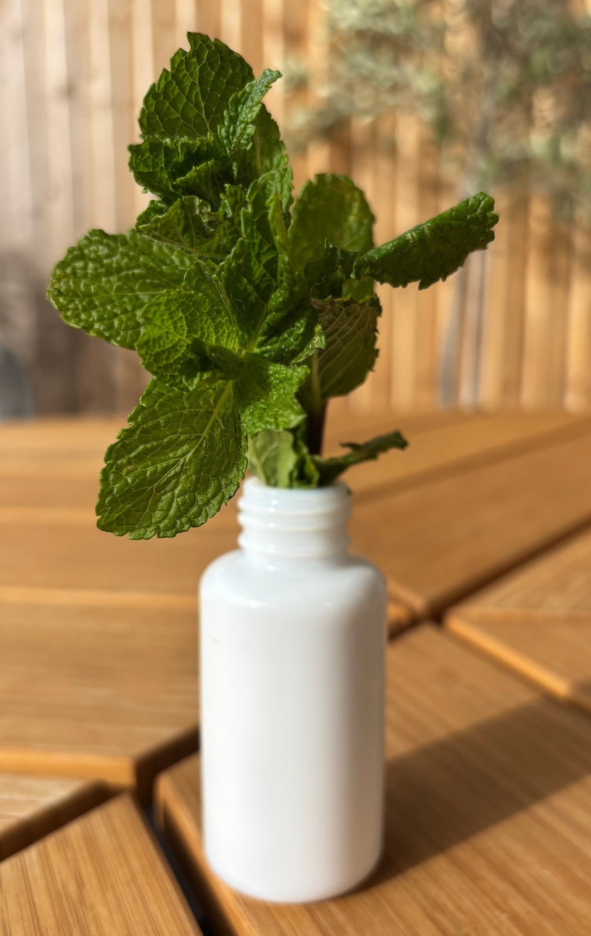 flacon à crème recyclé en vase