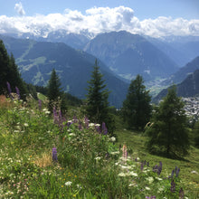 Crème hydratante aux plantes des Alpes, pour peaux sensibles
