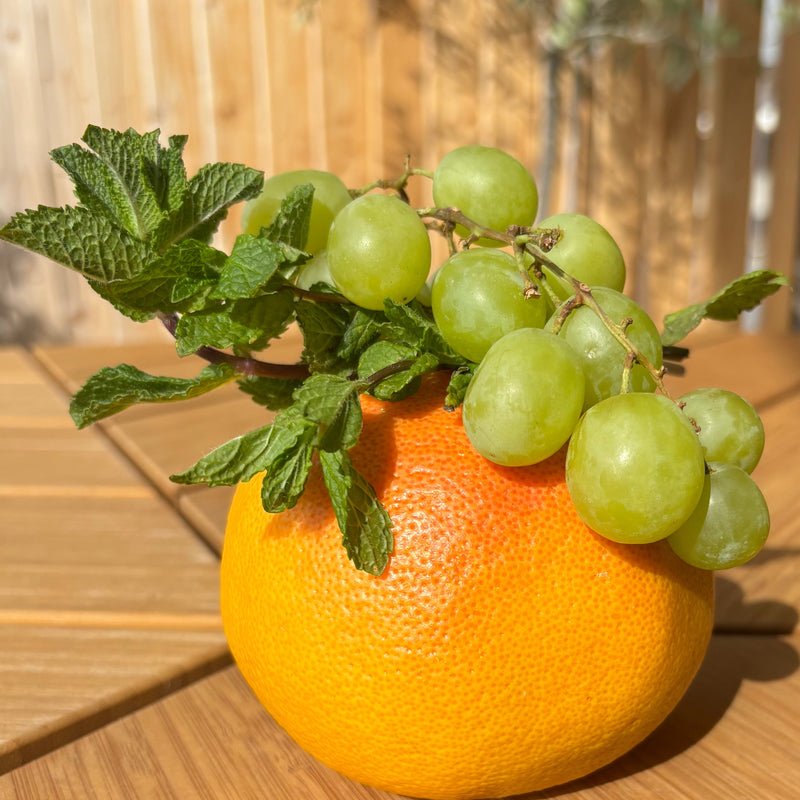 Crème de jour hydratante aux extraits de raisin