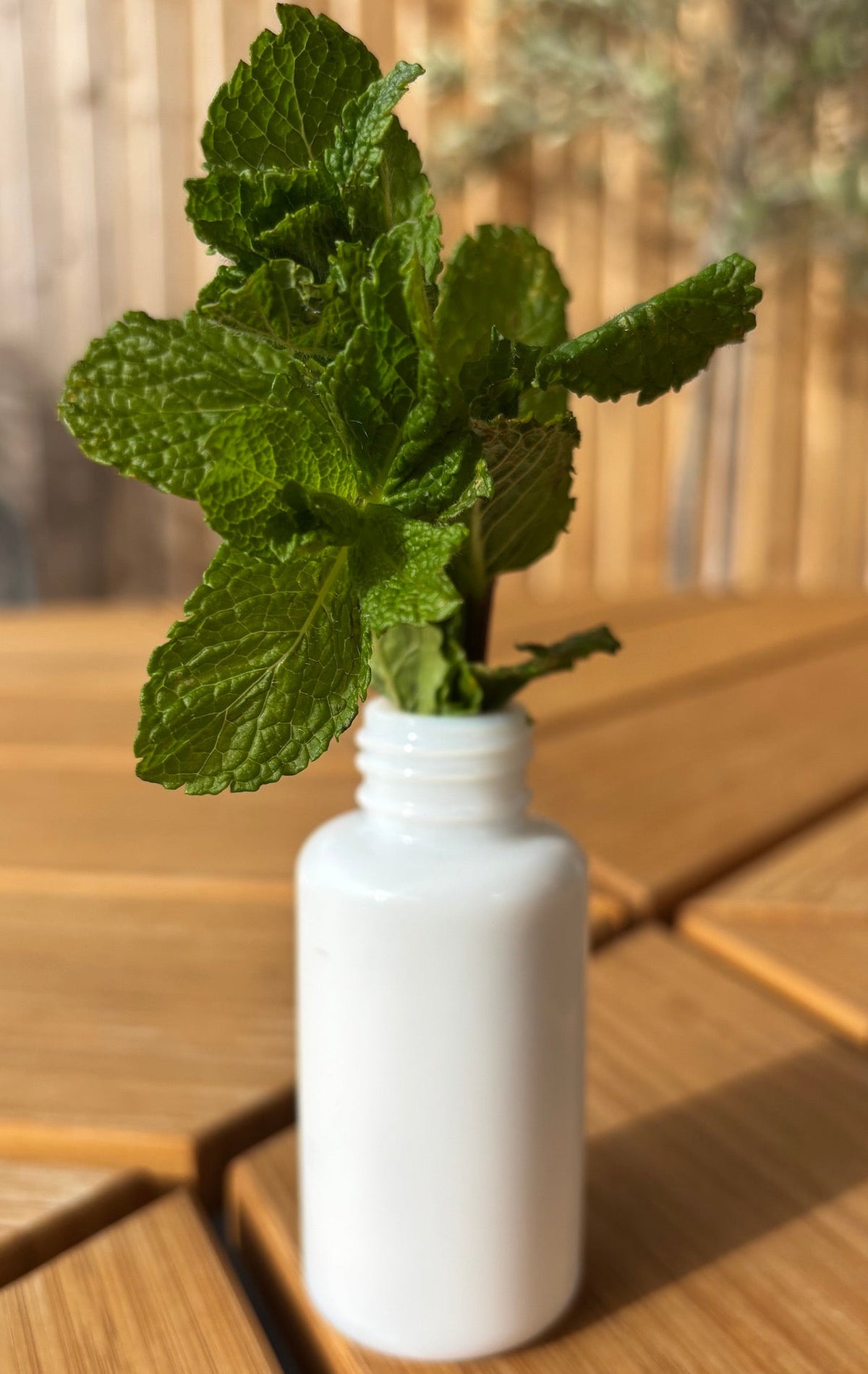 le flacon de crème réutilisé en tant que vase