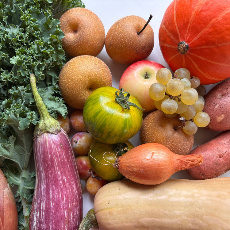 fruits et légumes d'automne